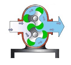 转子泵工作原理图图片